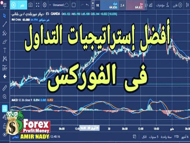 کسب درامد به دلار در ایران